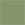 CEGN:Celery Green
