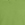 Kiwi:Kiwi