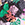 JUVB:Jungle Vibes