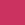 Fuchsia (Maui Pink)