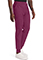 Cherokee Men's Pull-on Jogger Pant