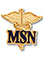 Prestige Master of Science Nursing Emblem Pin