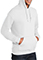 Gildan Adult Heavy Blend Hooded Sweatshirtp